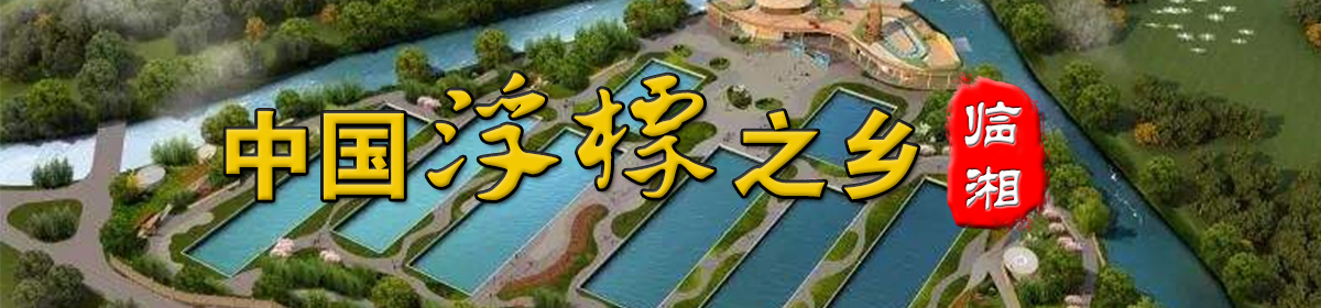 分页广告