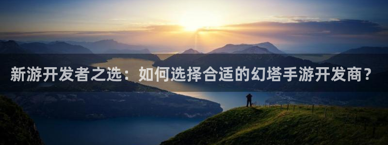 28大神算法公式：新游开发者之选：如何选择合适的幻塔手游开发