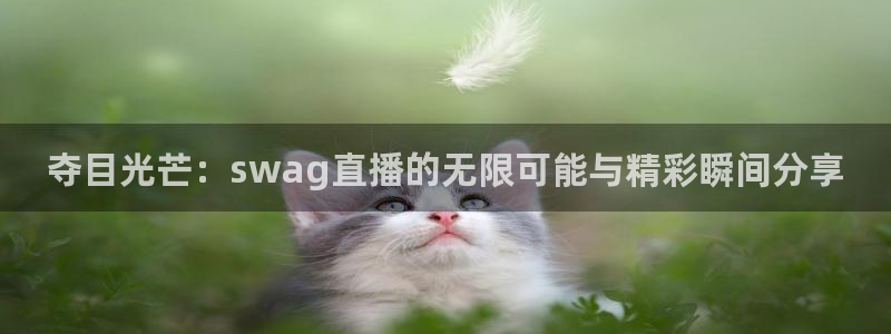 360直播 体育：夺目光芒：swag直播的无限可能与精彩瞬间分享