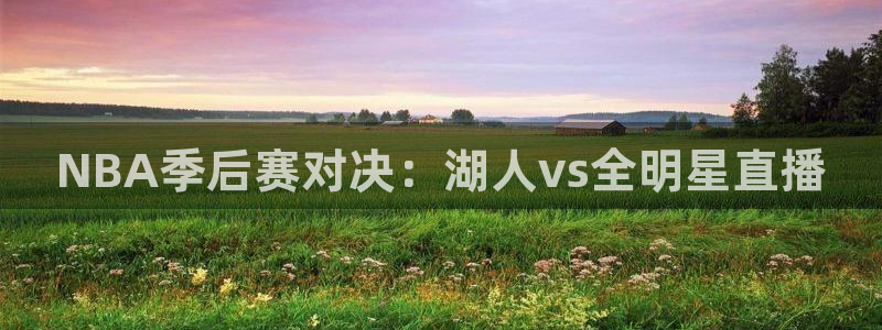 360直播足球直播雨燕：NBA季后赛对决：湖人vs全明星直播