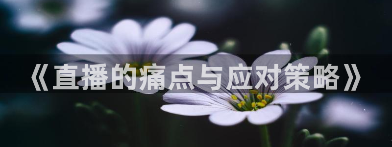 360直播体育在线直播：《直播的痛点与应对策略》