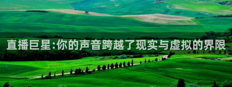 360直播体育直播录像：直播巨星:你的声音跨越了现实与虚拟的界限