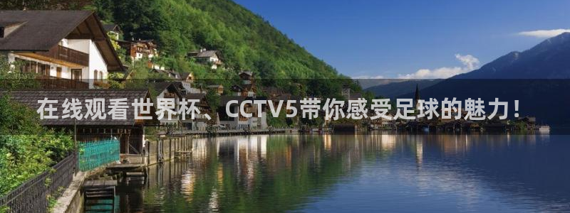 直播足球360：在线观看世界杯、CCTV5带你感受足球的魅力！