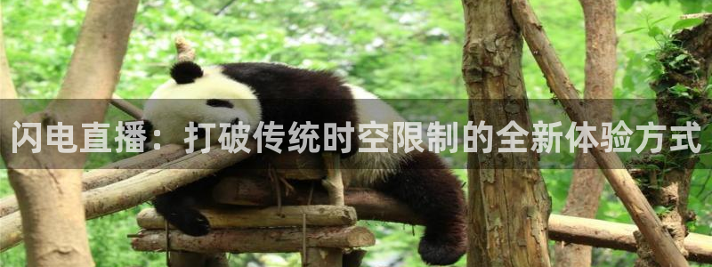 360足球视频直播：闪电直播：打破传统时空限制的全新体验方式
