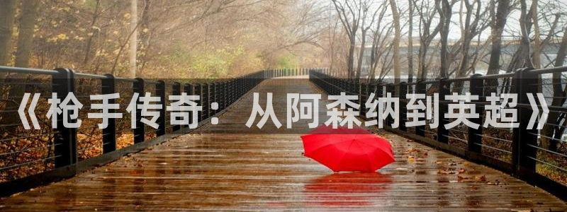 360直播体育直播高清无插件：《枪手传奇：从阿森纳到英超》