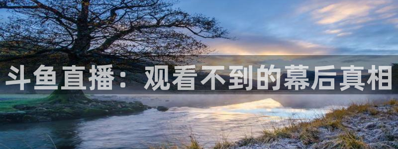 雨燕360体育免费观看：斗鱼直播：观看不到的幕后真相