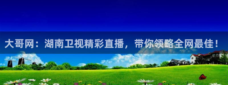 足球直播360：大哥网：湖南卫视精彩直播，带你领略全网最佳！