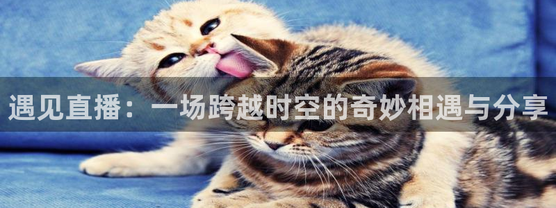 360足球直播视频：遇见直播：一场跨越时空的奇妙相遇与分享